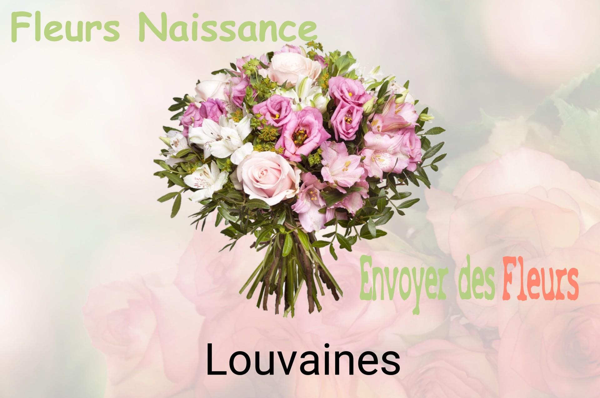 Bouquet de fleurs de naissance livré à Louvaines